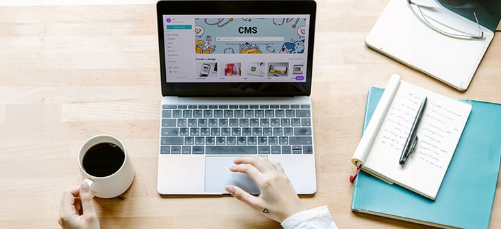 8-how-much-does-a-good-website-cost-an-in-depth-guide-for-b2b-cmos