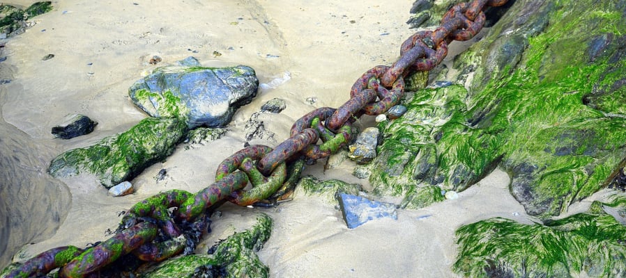 bad-links