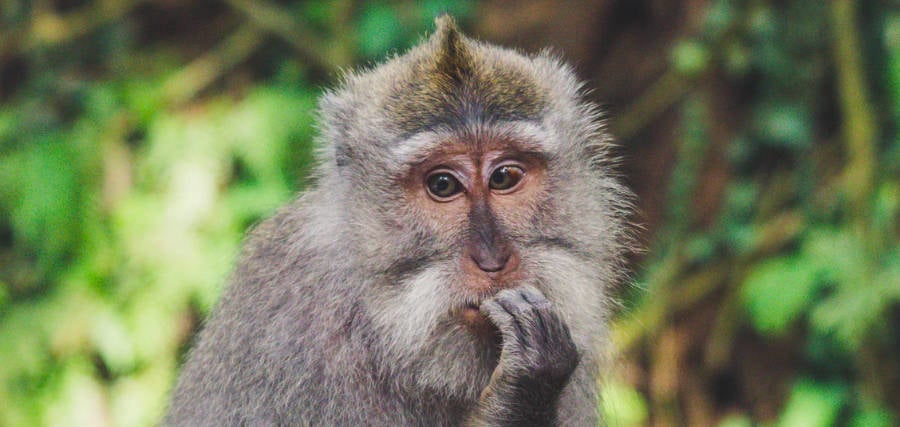 confused about digital marketing