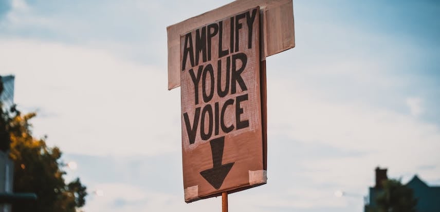 Amplify Your Voice