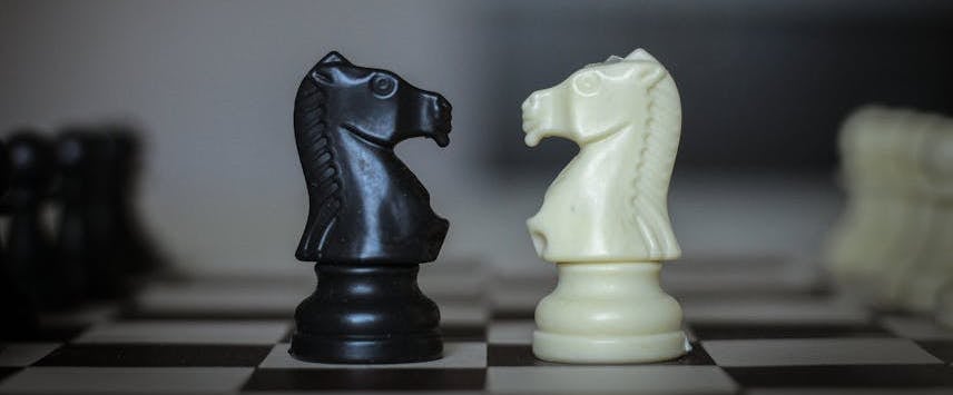 Black and White Knight Chess Pieces