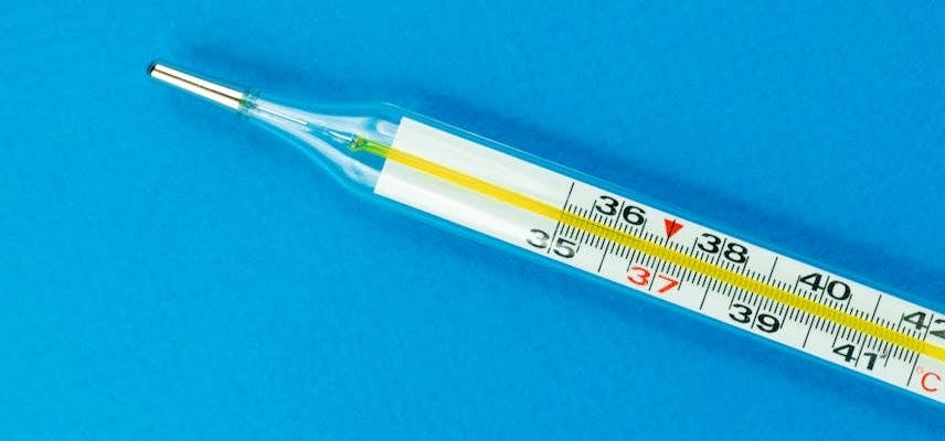 Old Fashioned Thermometer