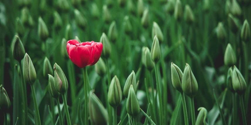 Quality Over Quantity