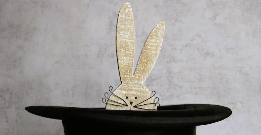 Rabbit Inside A Hat