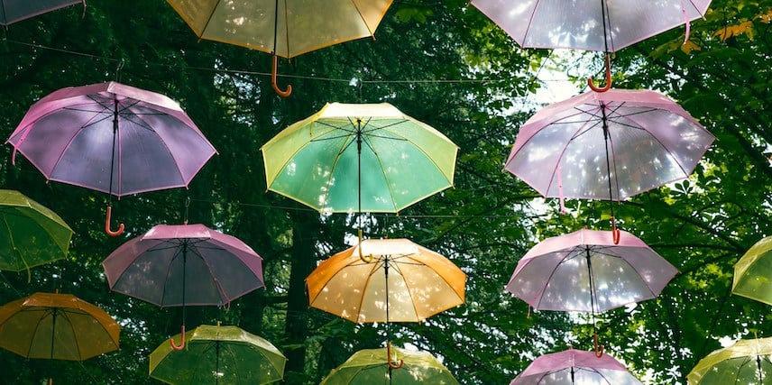Umbrella in the Woods