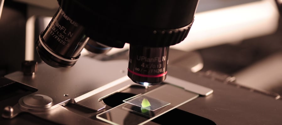 Core Web Vitals under the microscope