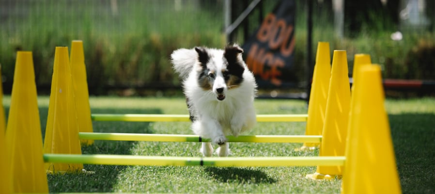 getting-the-most-out-of-hubspot-sales-hub