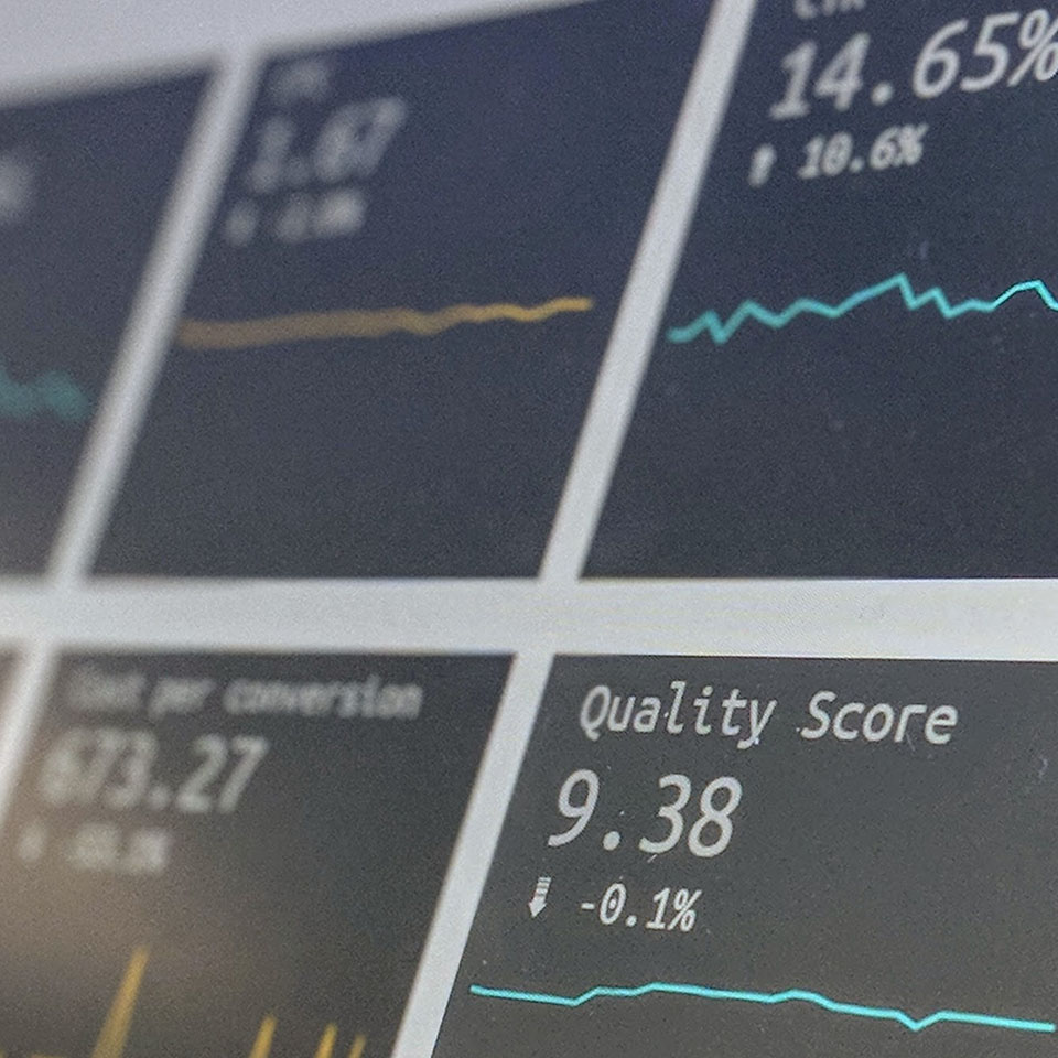 Website Data