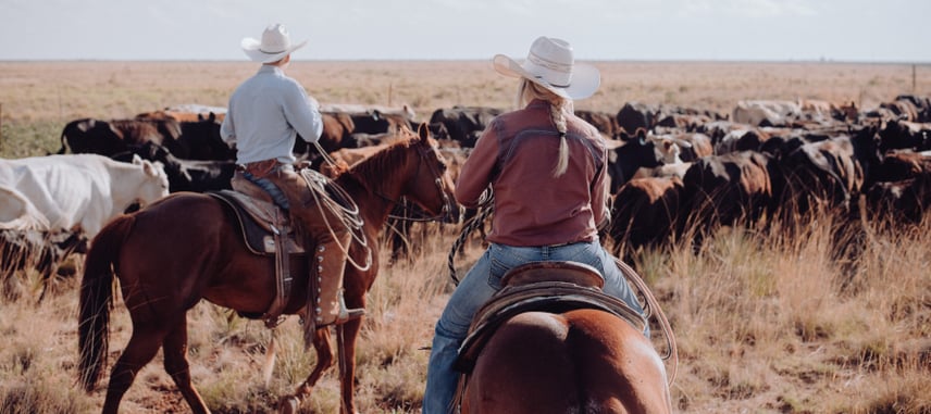 seo-industry-cowboys