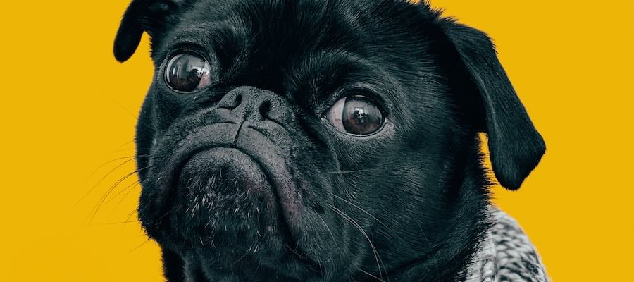 shocked at SEO tactics