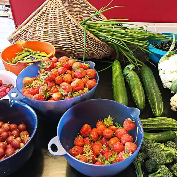 A collection of home grown fruit and vegetables