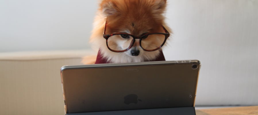 why-do-inbound-marketing