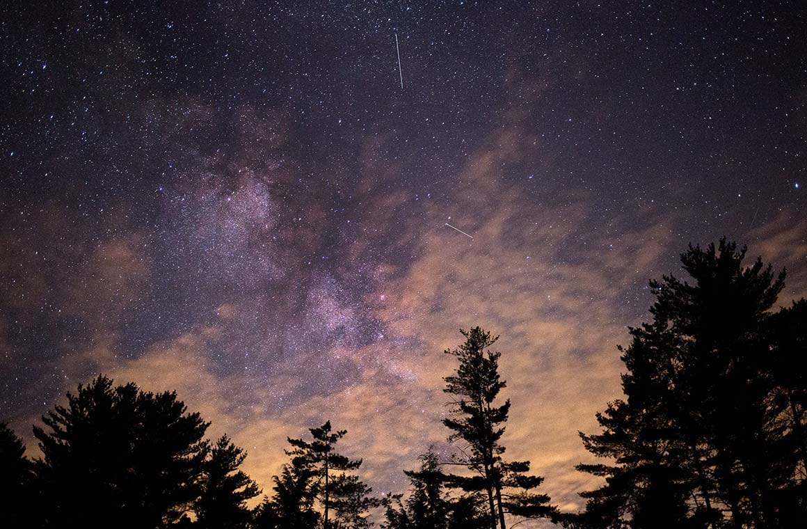 Silhouette of trees at night