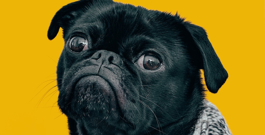 shocked at SEO tactics